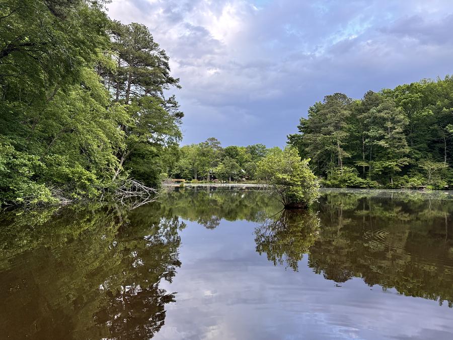 The pond opening out under a broad sky, wooded banks on both sides