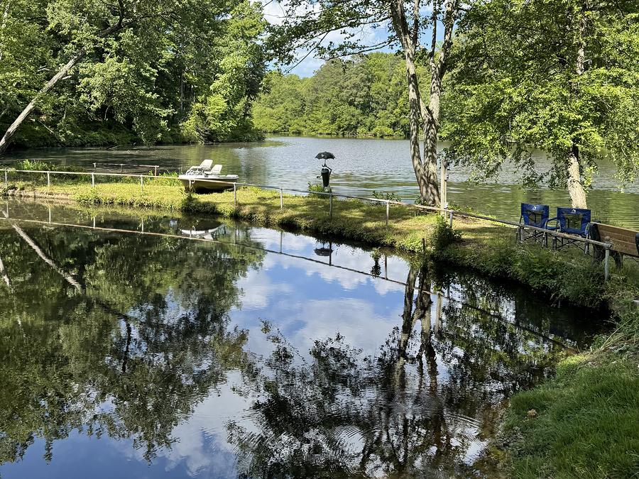 King's Pond, still water holding the reflection of trees and clouds